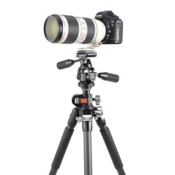 Vanguard Veo 3+ 263CPS - Trípode de fibra de carbono, rótula de 3 vías y columna descentrable
