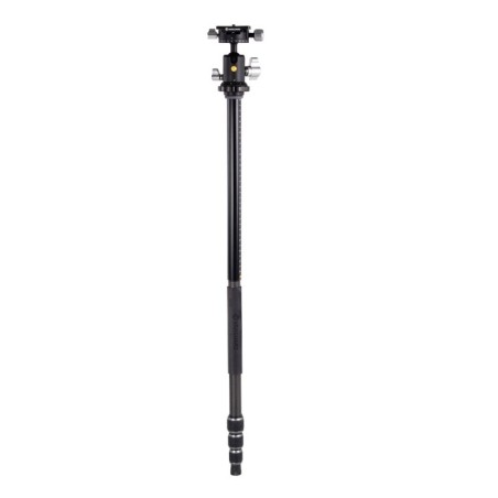 Vanguard Veo 3T+ 234CB - Trípode de carbono, rótula de bola de doble eje