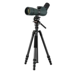 Vanguard Vesta GO 234CV10 - Trípode de viaje de carbono, rótula de vídeo