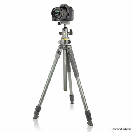Vanguard Alta Pro 2+ 263AB 100 - Trípode de aluminio, rótula de bola