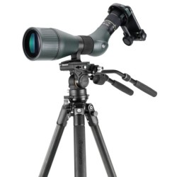 Vanguard Alta Pro 3VL 303CV18 - Trípode de vídeo de carbono, rótula Veo PV-18