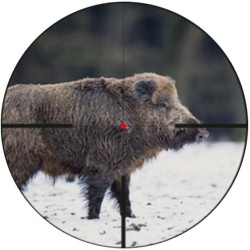 La mejor selección de visores paraarmas en Outdoorstocks